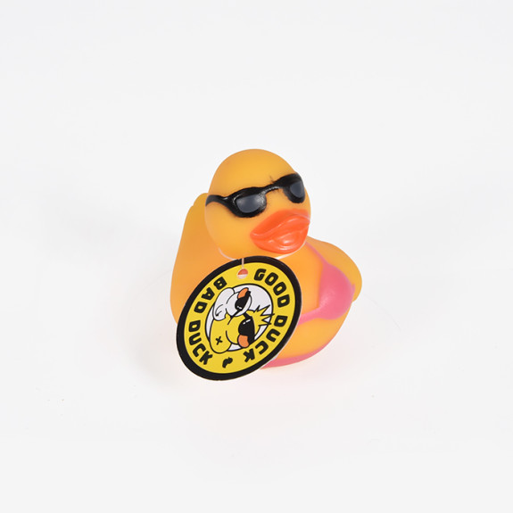 Beach Duck